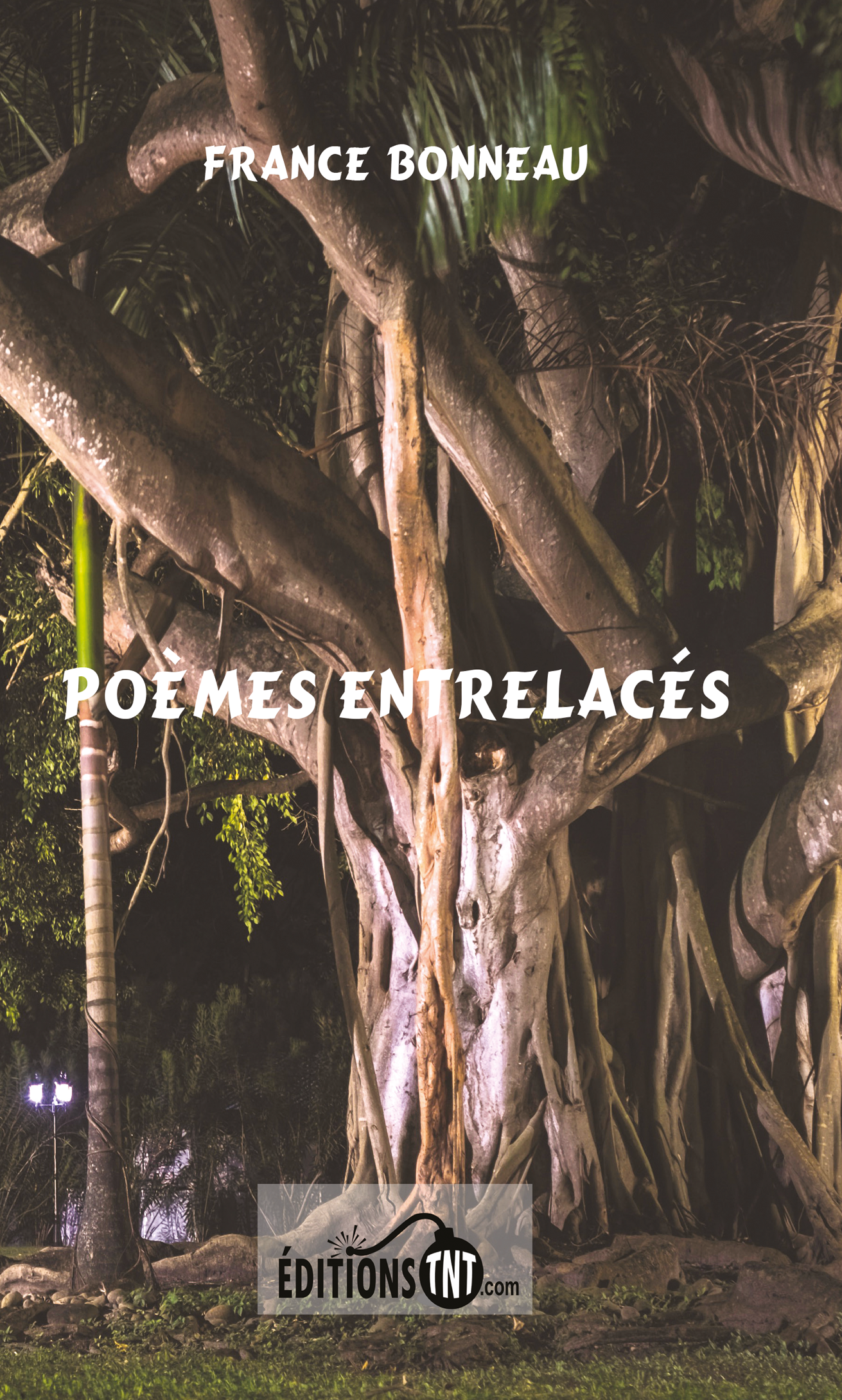 Poèmes entrelacés